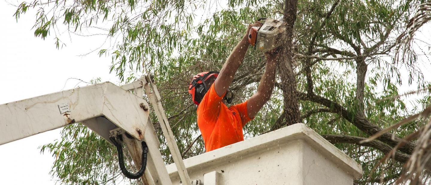 Catastrophe Management